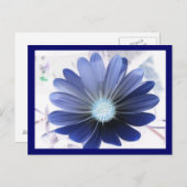 African Daisy Glowing Blue Briefkaart (Voorkant / Achterkant)