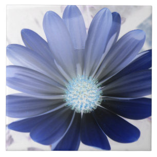 African Daisy Glowing Blue Tegel Tegeltje
