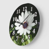 African Daisy Grote Klok (Hoek)