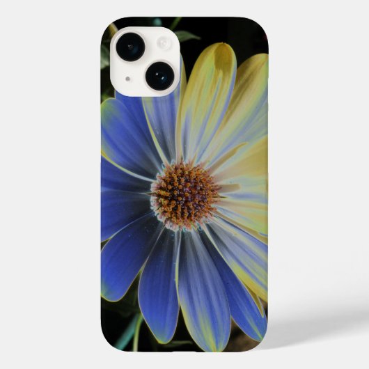 African Daisy Lapis and Gold Case-Mate iPhone Case (Achterkant)