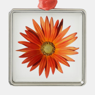 African Daisy Metalen Ornament
