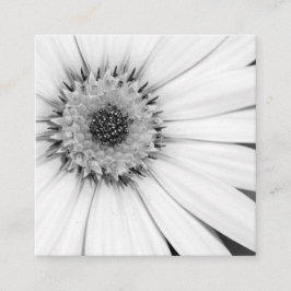 African Daisy Monochrome Floral Vierkante Visitekaartje