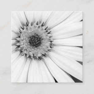 African Daisy Monochrome Floral Vierkante Visitekaartje