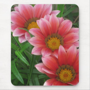 African Daisy Muismat