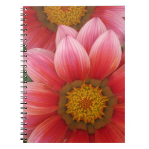 African Daisy Notitieboek