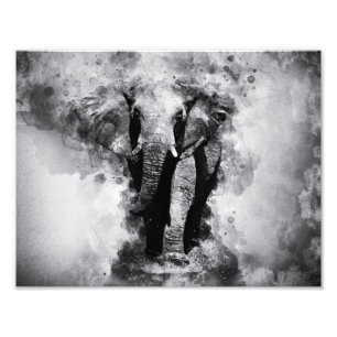 African Elephant Black and White Waterverf Foto Afdruk