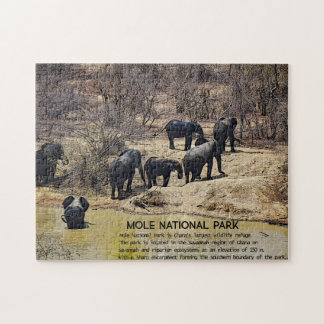 African Elephant Jigsaw puzzle Legpuzzel