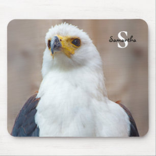 African Fish Eagle Muismat