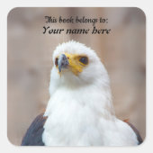 African Fish Eagle Sticker (Devant)