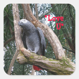 African Grey Heart Sticker