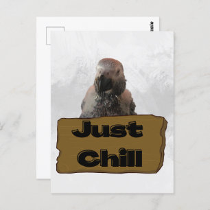 African grey papegaai, Postcrossing Briefkaart