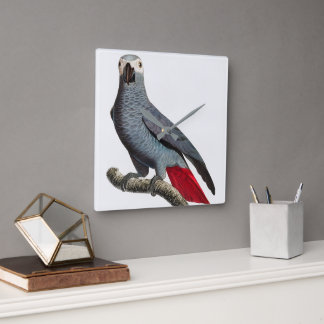 African Grey Parrot Art – Beautiful Exotic Bird Il Vierkante Klok