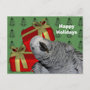 African Grey Parrot Christmas Holiday Briefkaart