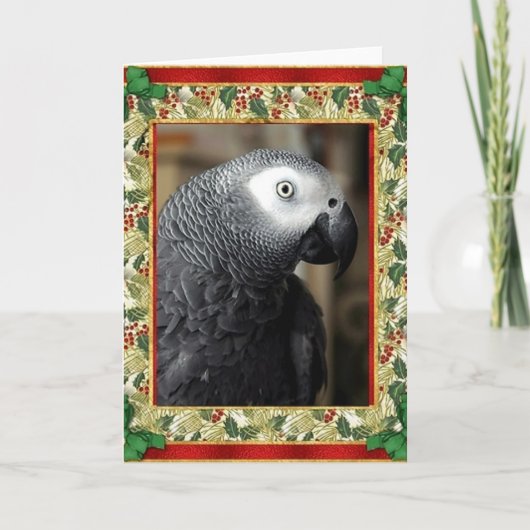 African Grey Parrot Christmas-Kaart Feestdagen Kaart (Voorkant)