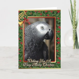 African Grey Parrot Christmas-Kaart Feestdagen Kaart