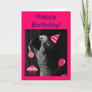African Grey Parrot Happy Birthday Wenskaart Kaart