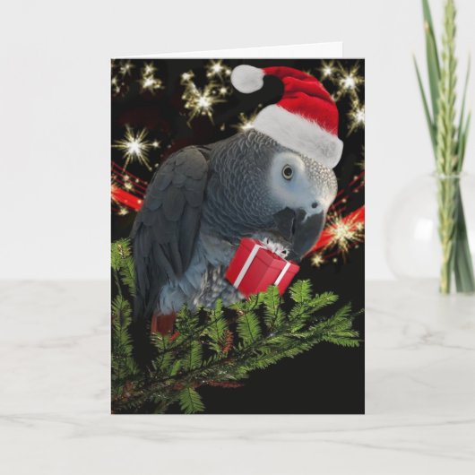 African Grey Parrot Holiday Kaart (Voorkant)