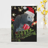 African Grey Parrot Holiday Kaart (Gele Bloem)