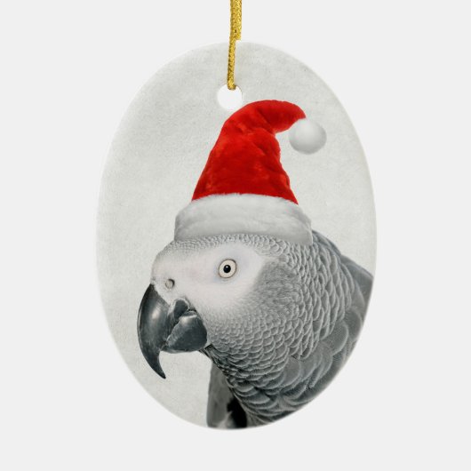 African Grey Parrot in een Santa Hat Ornament (Voorkant)