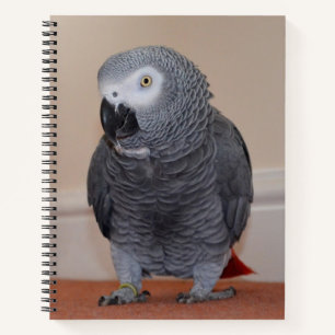 African Grey Parrot Journal Notitieboek