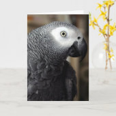 African Grey Parrot Portrait Blank Greeting Card Kaart (Gele Bloem)