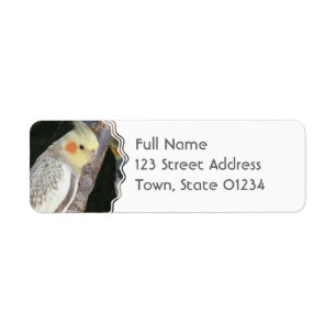 African Grey Parrot Return Label