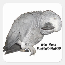 African Grey Stickers