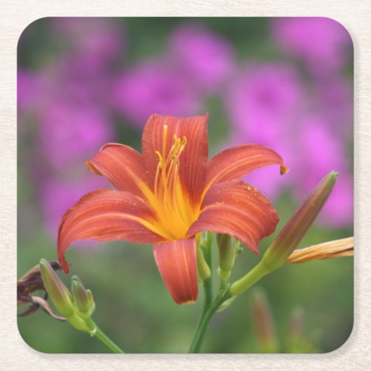 African Lily onderzetter (Voorkant)
