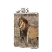 African Lion Flask Heupfles (Links)