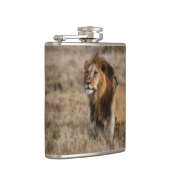 African Lion Flask Heupfles (Rechts)