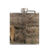 African Lion Flask Heupfles (Achterkant)