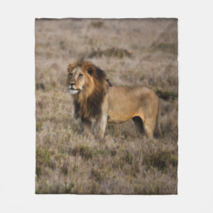 African Lion Fleece Blanket Deken