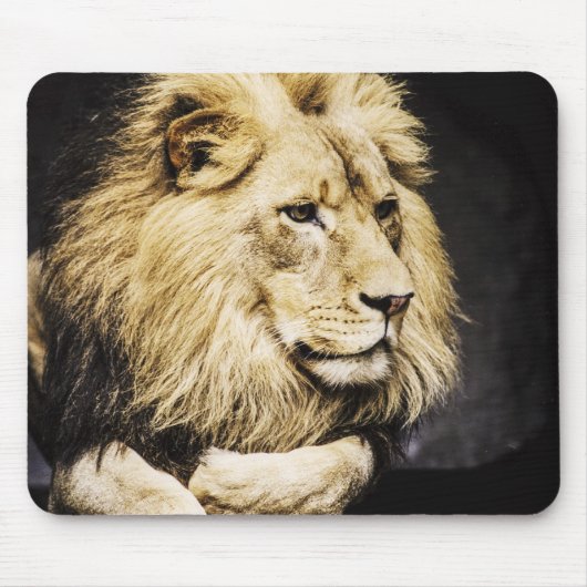 African Lion mousepad Muismat (Voorkant)