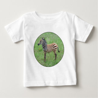 African Ngorongoro Baby Zebra