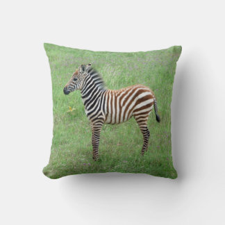 African Ngorongoro Baby Zebra Kussen