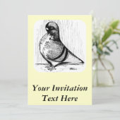 African Owl Pigeon 1978 Kaart (Staand voorkant)