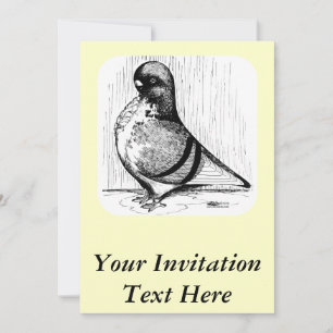 African Owl Pigeon 1978 Kaart