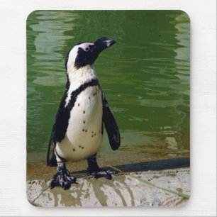 African Penguin Mousepad Muismat