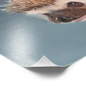 African Pigmy Hedgehog Poster (Coin)