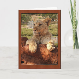 African Proverb Greeting Cards Kaart