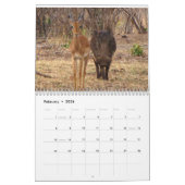 African Safari 2018 Calendar Kalender (Feb 2026)
