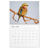 African Safari KALEIDOSCOPE Calendar 2014 2-Pg. Kalender (Mar 2027)