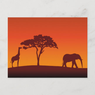 African Safari Silhouette - Briefkaart