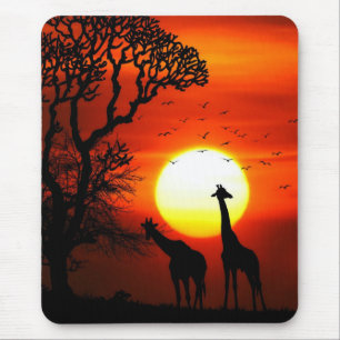 African Safari Sunset Giraffe Silhouettes Muismat