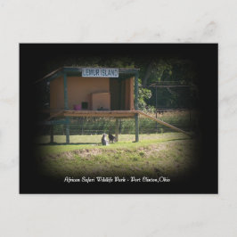 African Safari Wildlife Park Lemur Briefkaart