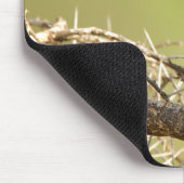 African Starling Muismat (Hoek)