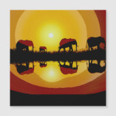 African Sunset Elephants (Voorkant)
