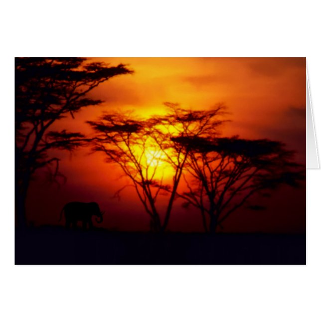 African Sunset Kaart (Voorkant Horizontaal)
