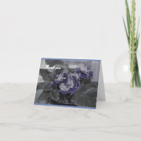 African Violet bedankt kaarten