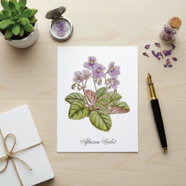 African Violet Curtis Botanical Briefkaart